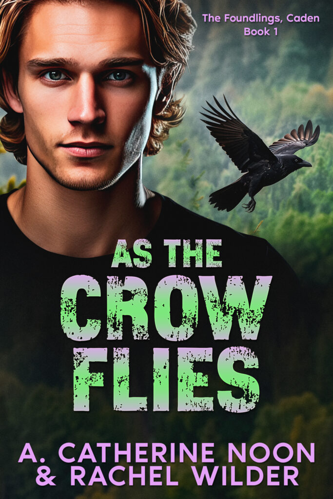 Book Cover: As the Crow Flies